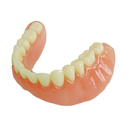 bottom-a dentures